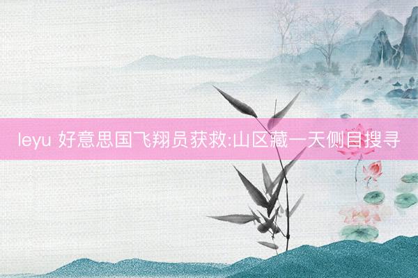 leyu 好意思国飞翔员获救:山区藏一天侧目搜寻